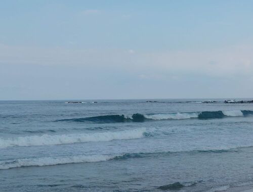 20241008_151352.JPG