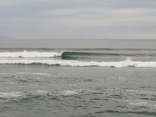 20241121_140341.JPG