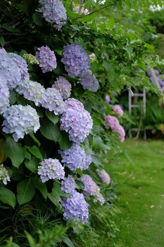 2024_0611_16403900 (1).jpg