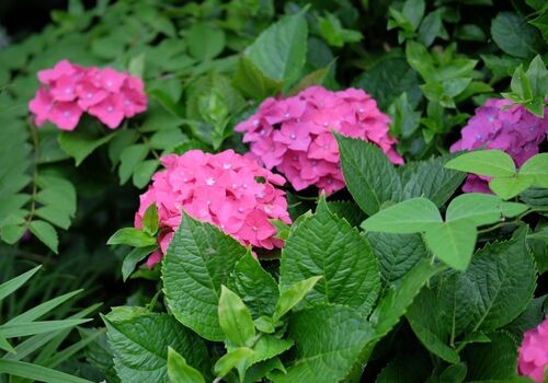 2024_0611_16420700 (1).jpg