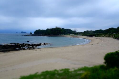 DSC03871.JPG