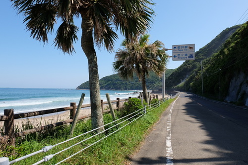 DSCF4383.JPG
